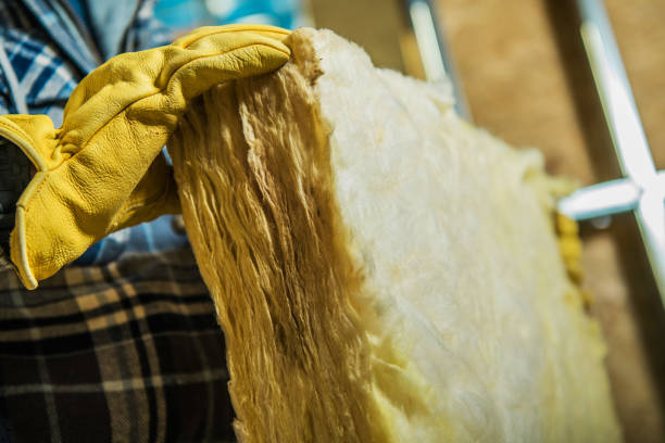 Best Specialized Insulation Services in Gulf Shores, AL